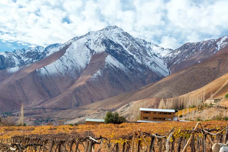 Vue sur la vallée du Río Elqui