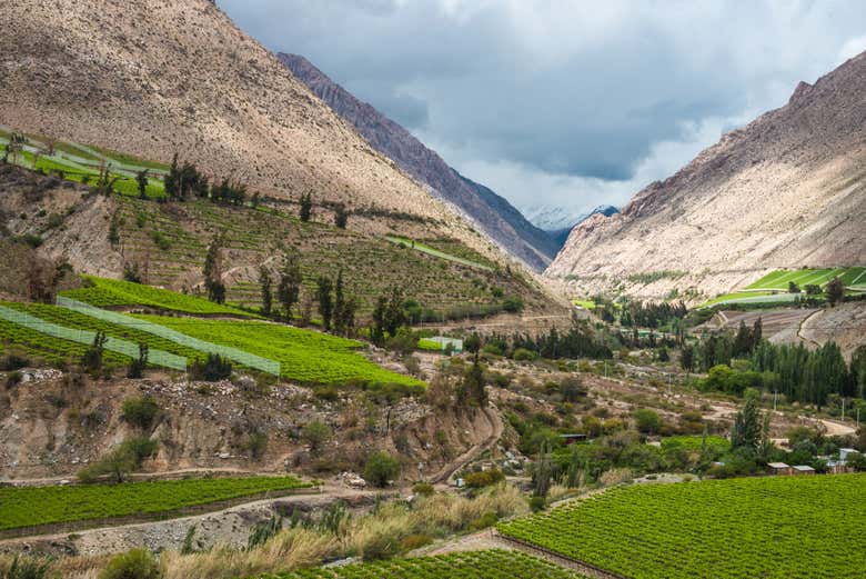 Vue panoramique sur la vallée du Río Elqui