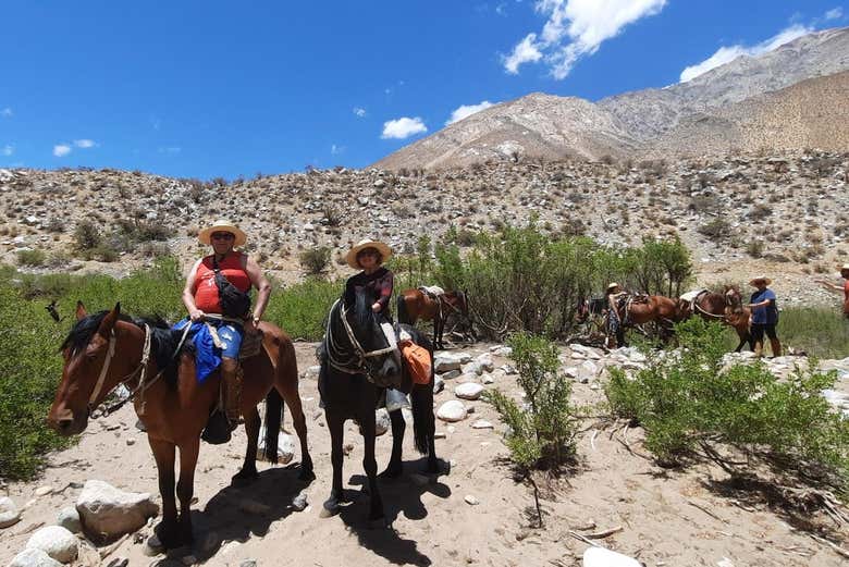 Traverse the Chilean wilderness