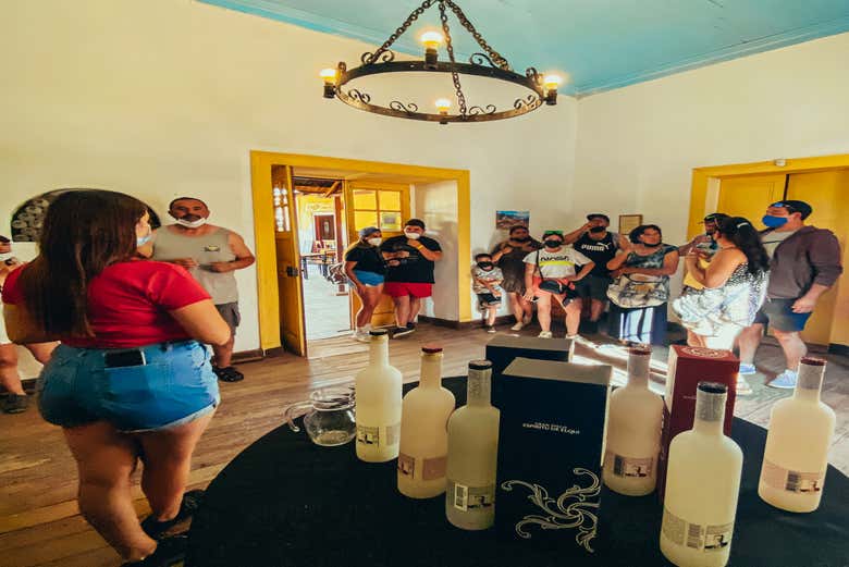 Découvrez les secrets du pisco