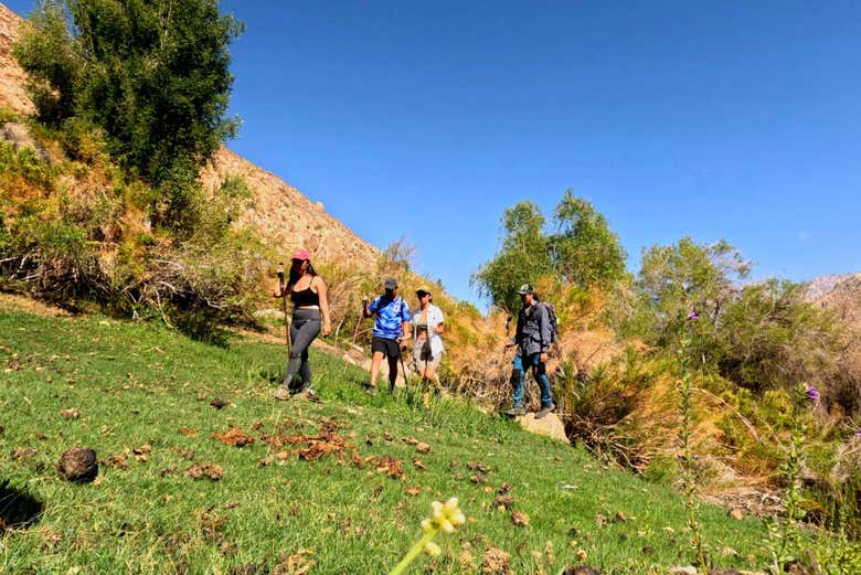 Caminando por el paraje de Las Tolas