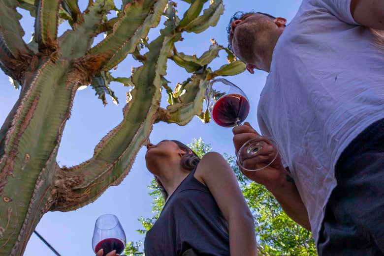 Recorriendo la bodega