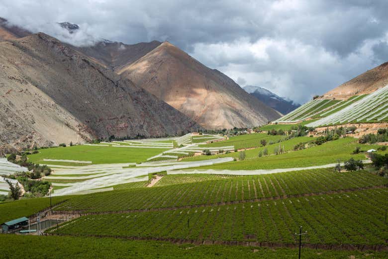 Nature de la vallée du Río Elqui