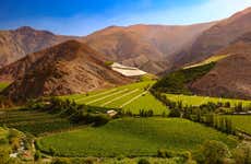 Tour privado pelo vale do Elqui