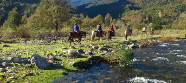 Tour de 2 días a caballo por la Reserva Nacional de Villarrica