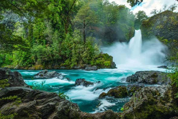 Excursión a la Reserva Huilo Huilo