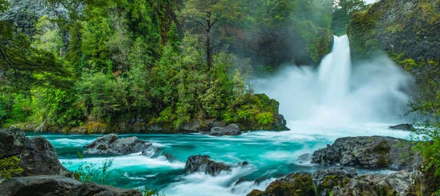 Excursión a la Reserva Huilo Huilo