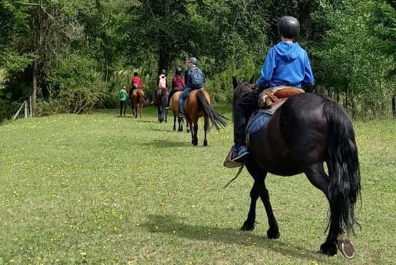 A cavallo nei boschi dell'Araucanía