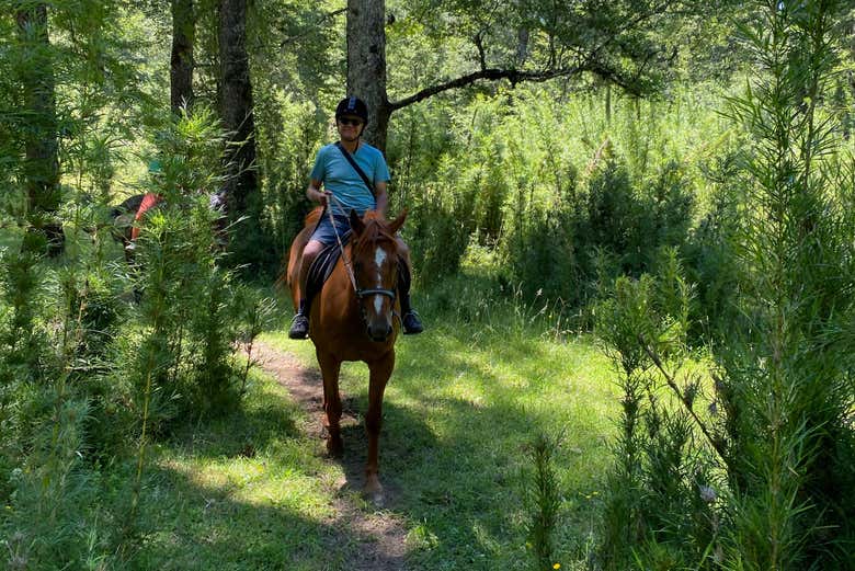 Profitez de la balade à cheval