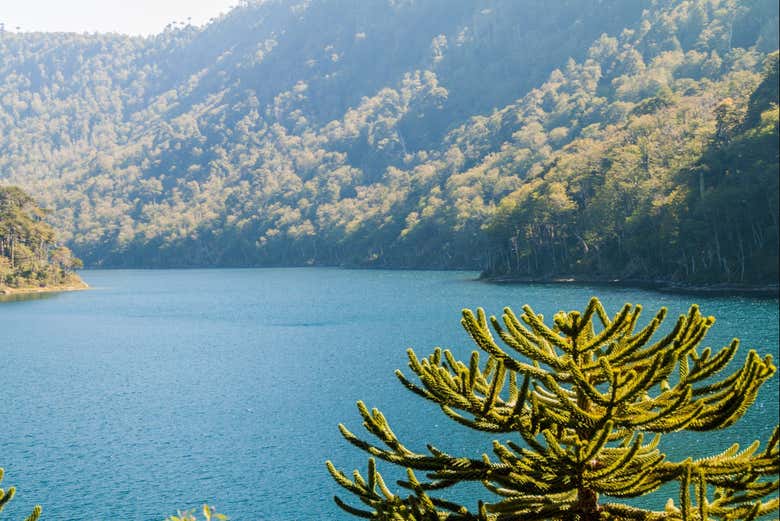 Lago Verde lake in the Huerquehue National Park