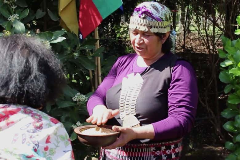 Mulher mapuche