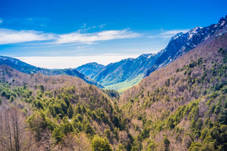 Paesaggi naturali di Mamuil Malal