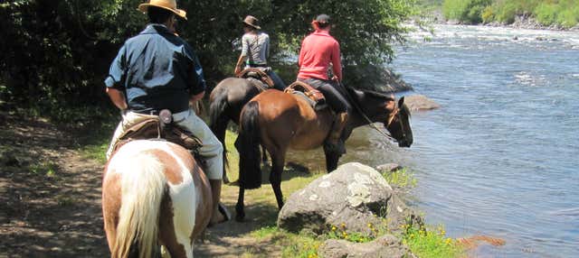 Paseo a caballo por la Reserva Nacional de Villarrica