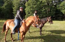 Paseo a caballo por las orillas del río Liucura