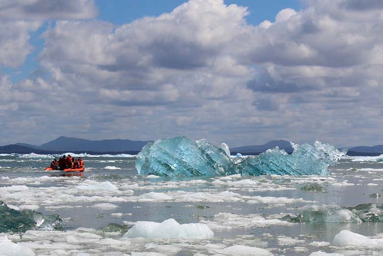 Navegaremos en zodiac hasta las inmediaciones del glaciar