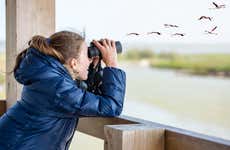 Birdwatching on the Carretera Austral