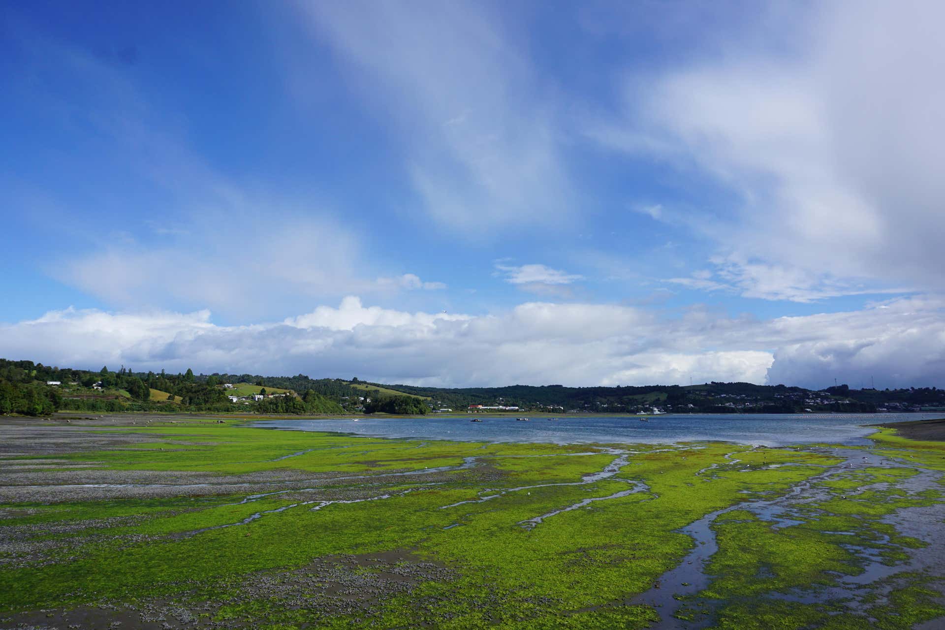 Crucero de 6 días por el archipiélago de Chiloé