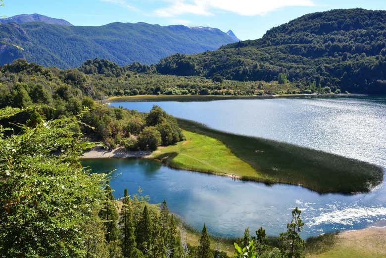 Hiking In The Alerce Andino National Park From Puerto Montt Civitatis