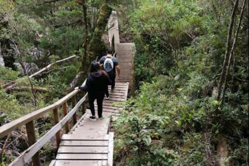 Pasarelas del Parque Nacional Alerce Andino