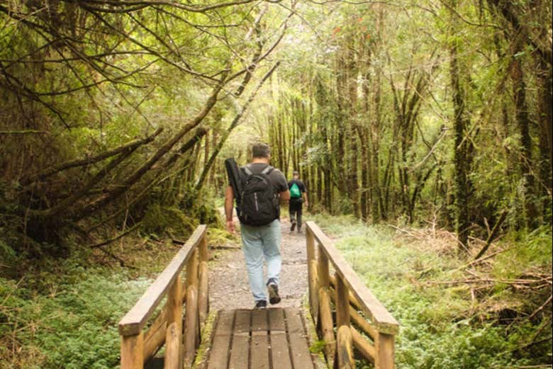 Alerce Andino National Park