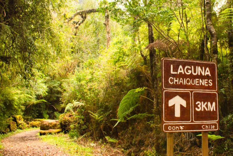 Landscapes of the Alerce Andino National Park