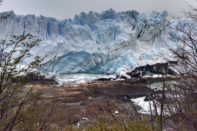 FALSO navegador Nuestra compañía Excursión al Glaciar Perito Moreno desde Puerto Natales