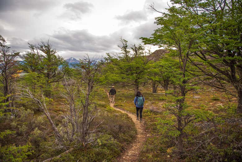 Recorriendo los senderos del Cerro Benítez