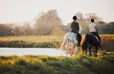 Paseo a caballo por la Laguna Sofía