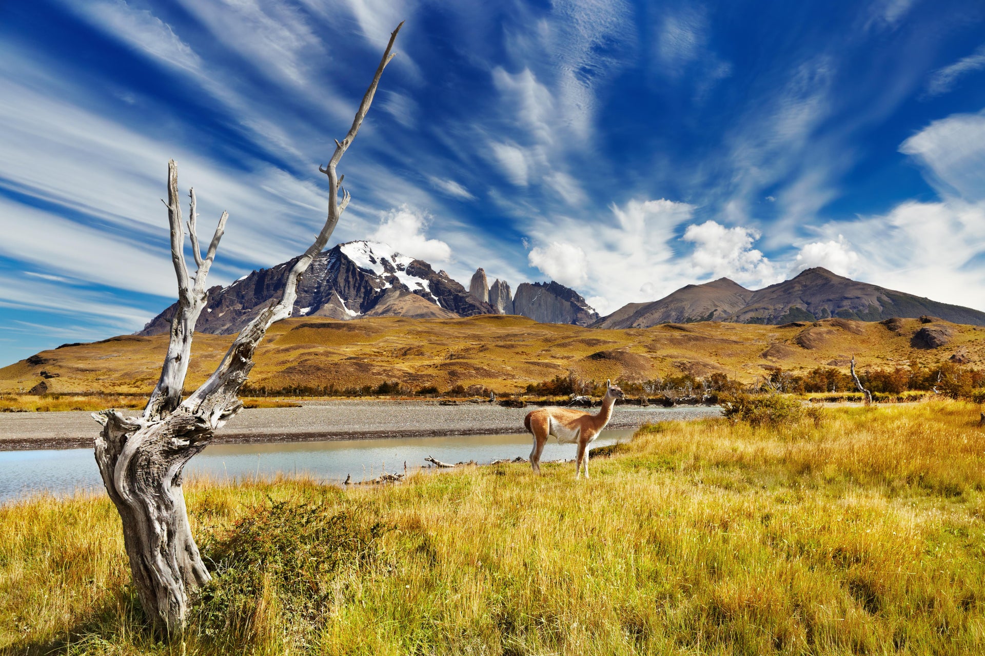 Safari por el Parque Nacional Torres del Paine