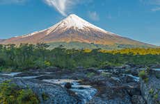 Excursión privada desde Puerto Varas