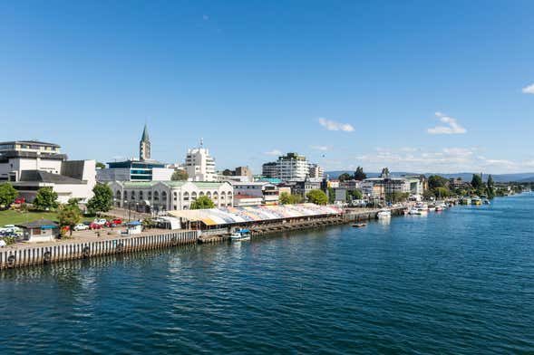 Excursión privada a Valdivia