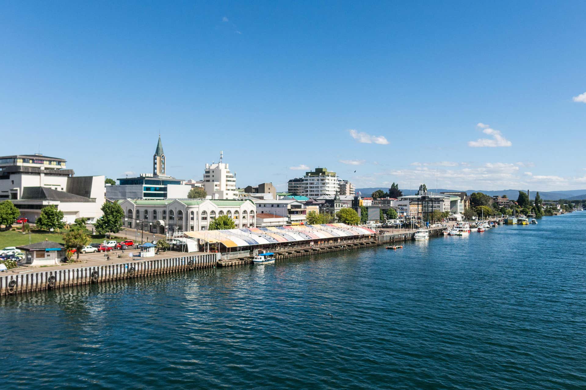 Valdivia earthquake tsunami height
