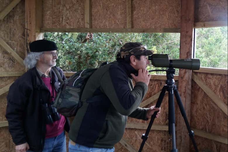 Sighting Chilean birds with a telephoto lens