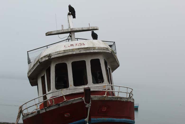 Un barco abandonado junto a la Carretera Austral