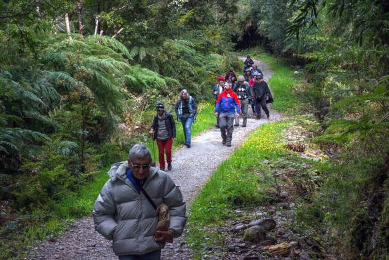 Trekking al Parco Nazionale Alerce Andino