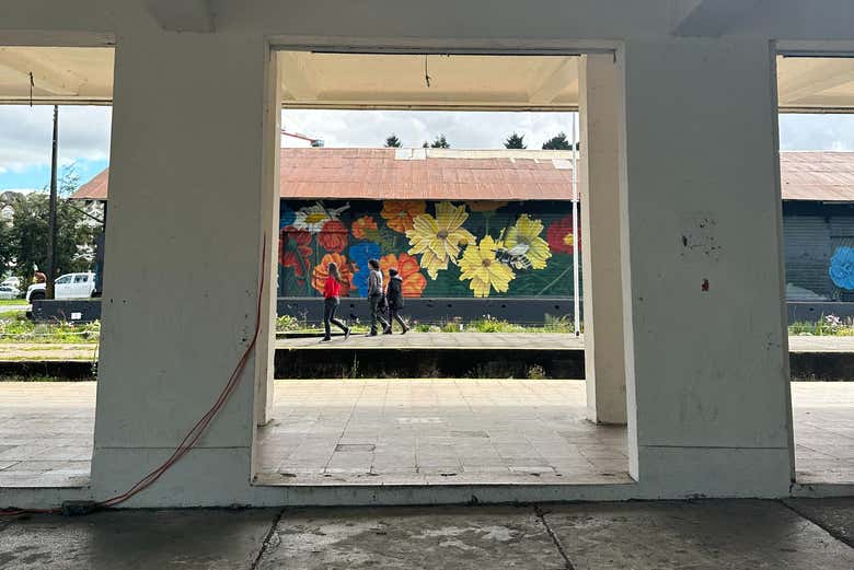 Caminando por el centro de Puerto Varas