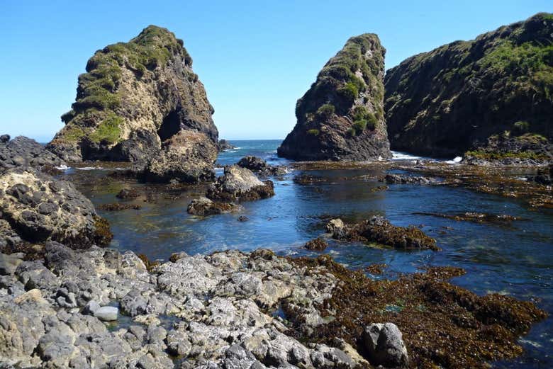Monumento Natural Islotes de Puñihuil