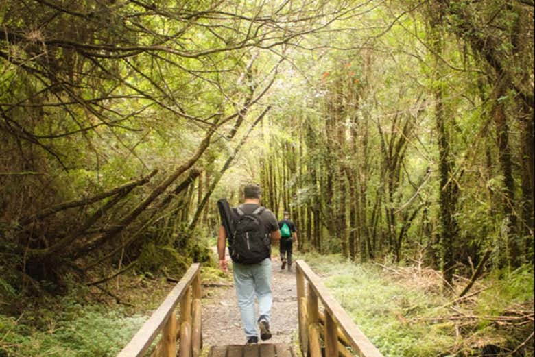 Visiting Alerce Andino National Park