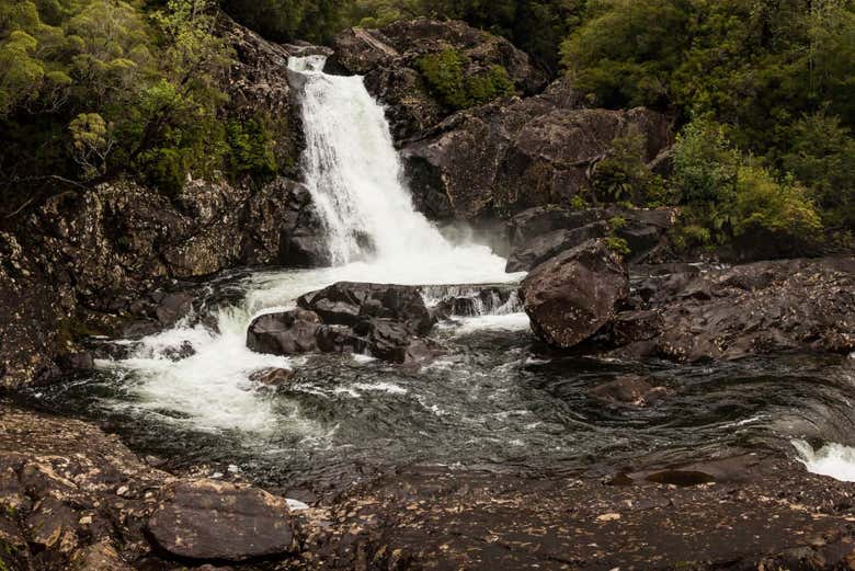 Cascate del Parco Nazionale Alerce Andino