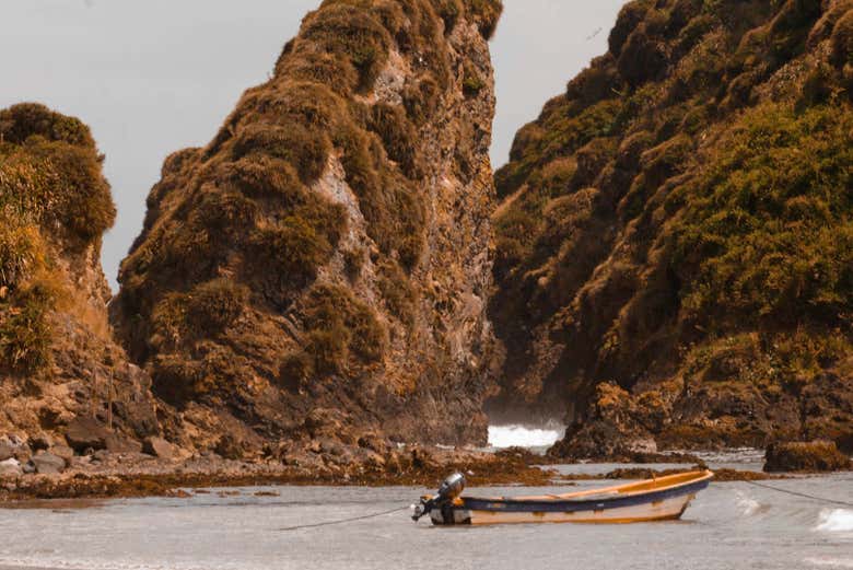 Islotes de Puñihuil Natural Monument, Chile