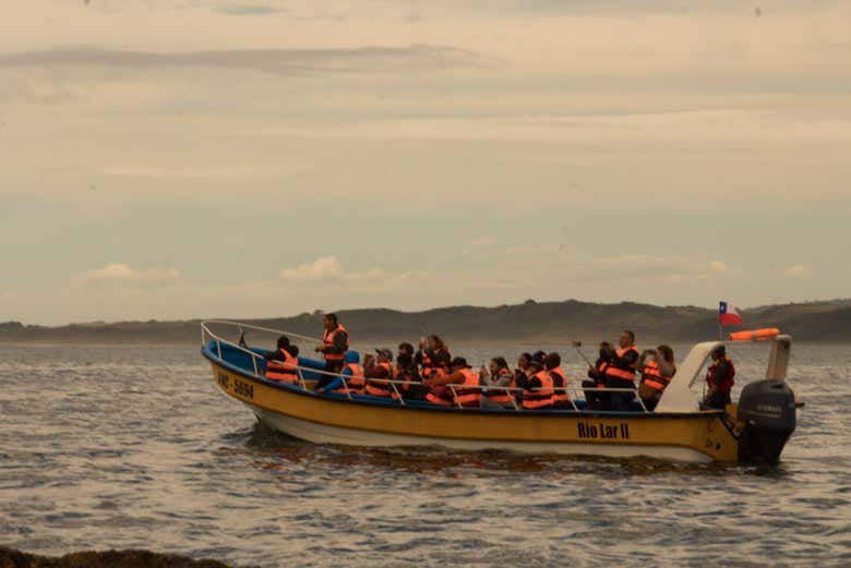 Aboard the boat