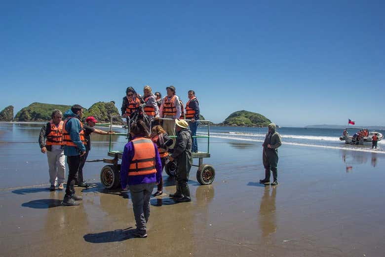 Visitando la costa del Pacífico