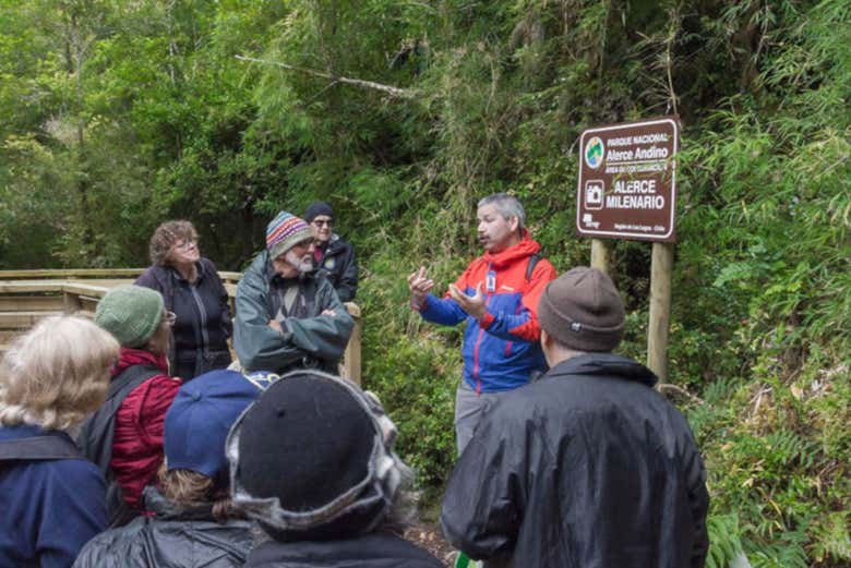 Visita al Parco Nazionale Alerce Andino
