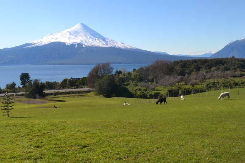 Vue panoramique sur le volcan Osorno