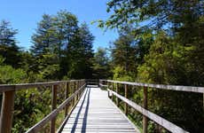 Visite privée de Puerto Varas, Nueva Braunau et Lahuen Ñadi