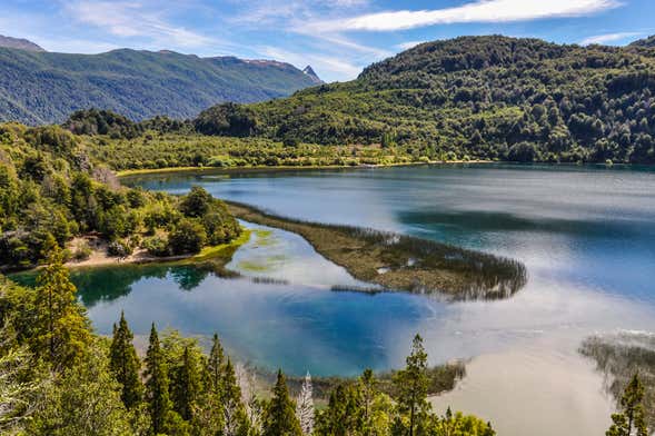 Trilha pelo Parque Nacional Alerce Andino