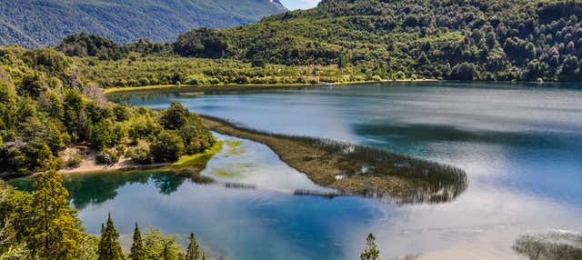 Alerce Andino National Park Trek