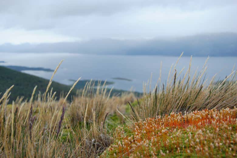 Scenery around Bandera Hill