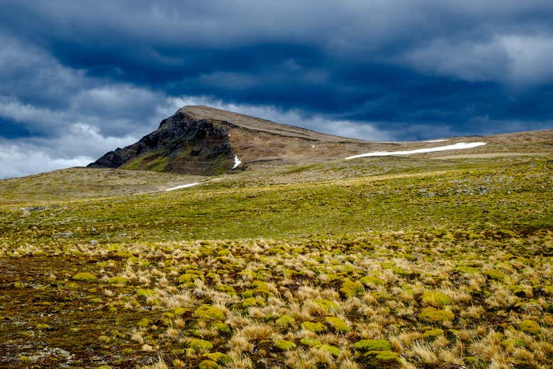 Naturaleza de la isla Navarino