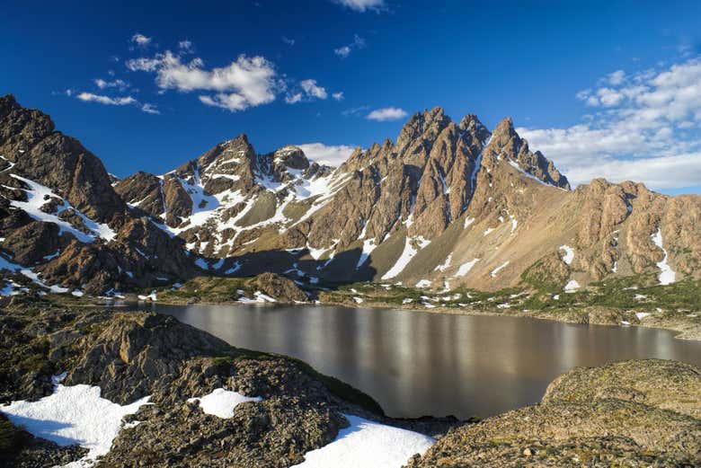 Dientes de Navarino